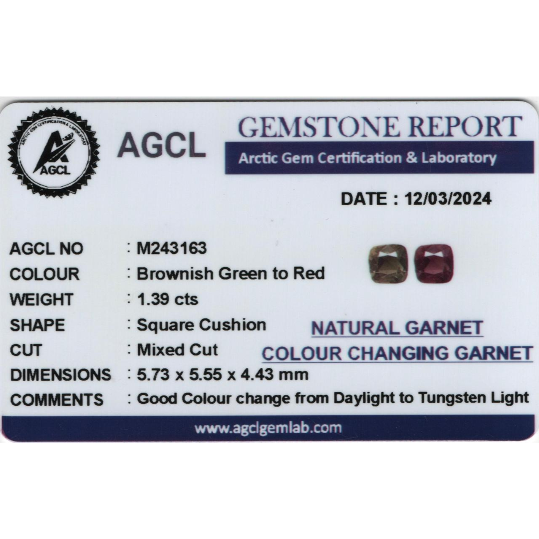 Color Changing Garnet - Brownish Green to Red 1.39Cts